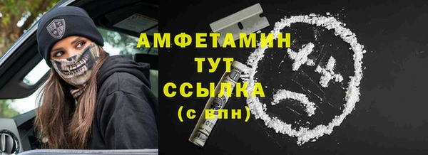 хмурый Абаза