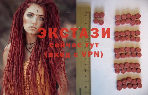 стаф Алексин