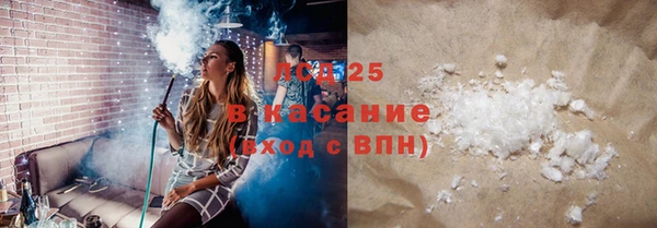 хмурый Абаза