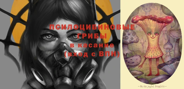 гидропоника Абдулино